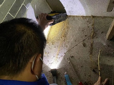 九江白蚁备案公司这些驱蚁小妙招超实用